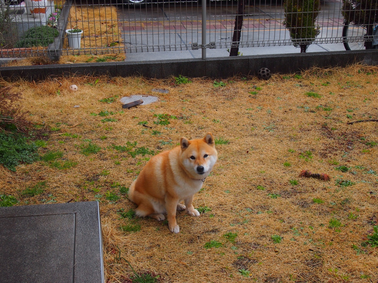 _步行者队防守顽强,锁定重要胜利_,步行者队最新