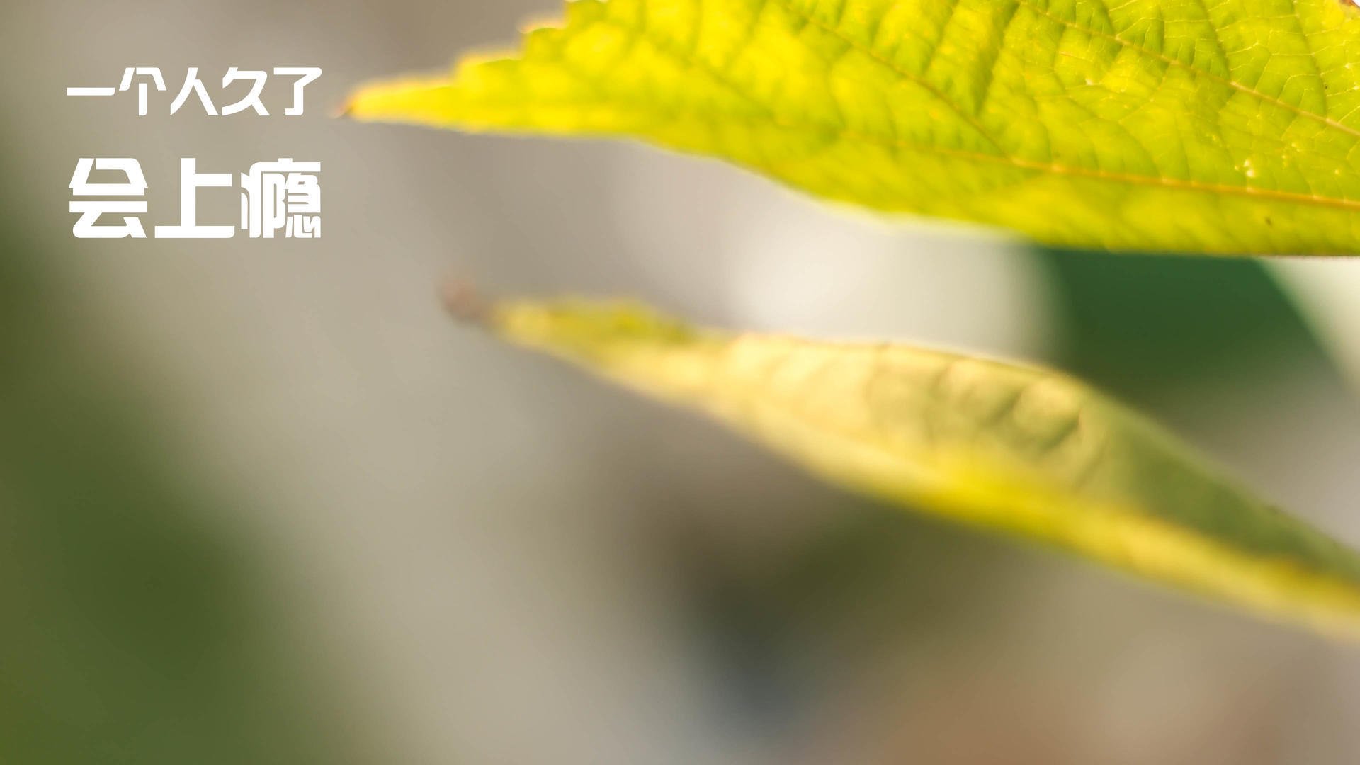 开云官方网页登录-_湖人队内线统治，轻取对手_，湖人内线多强