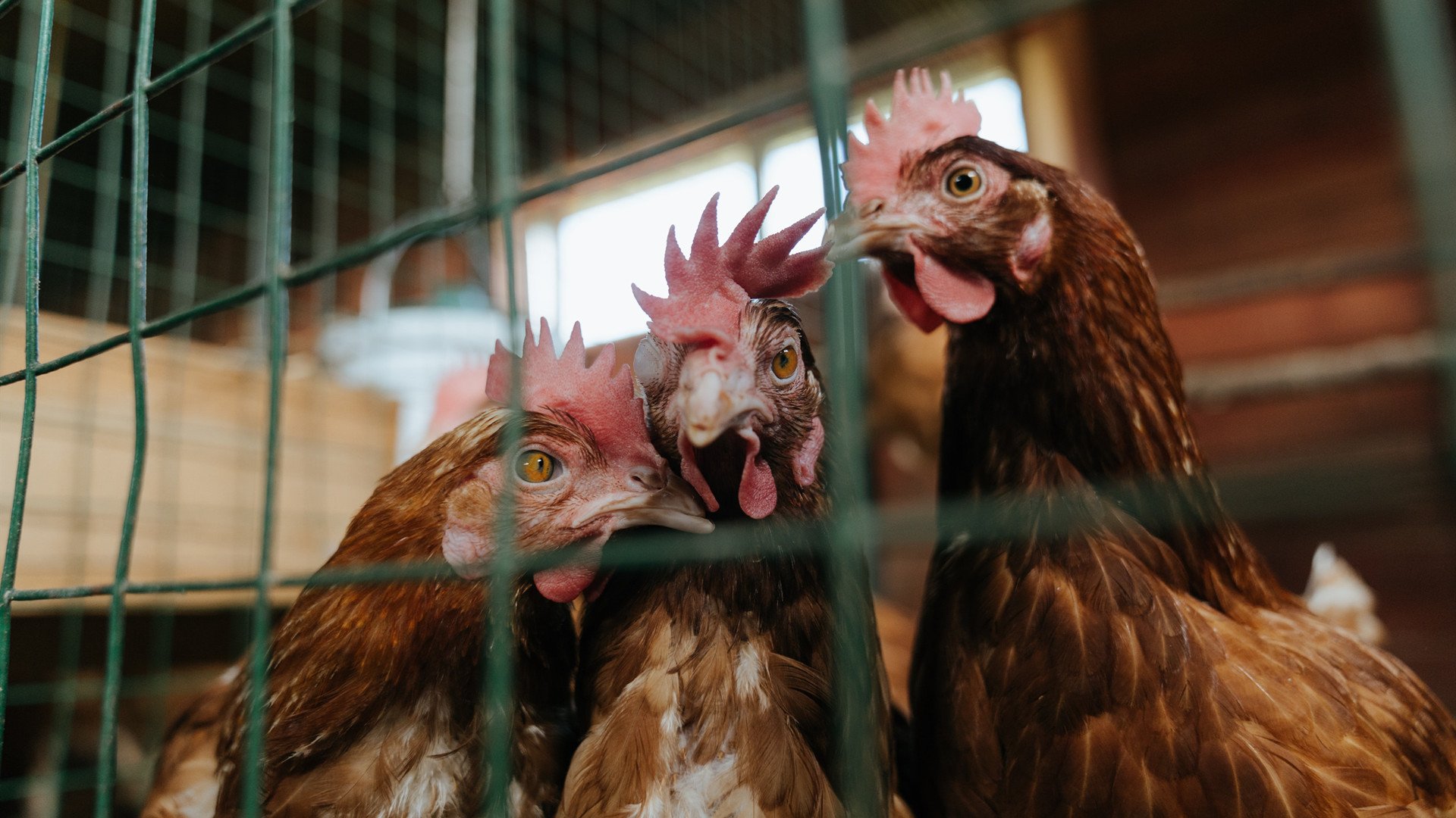 开云体育-“极速追逐：瞬间超车让全场沸腾”，极速追赶