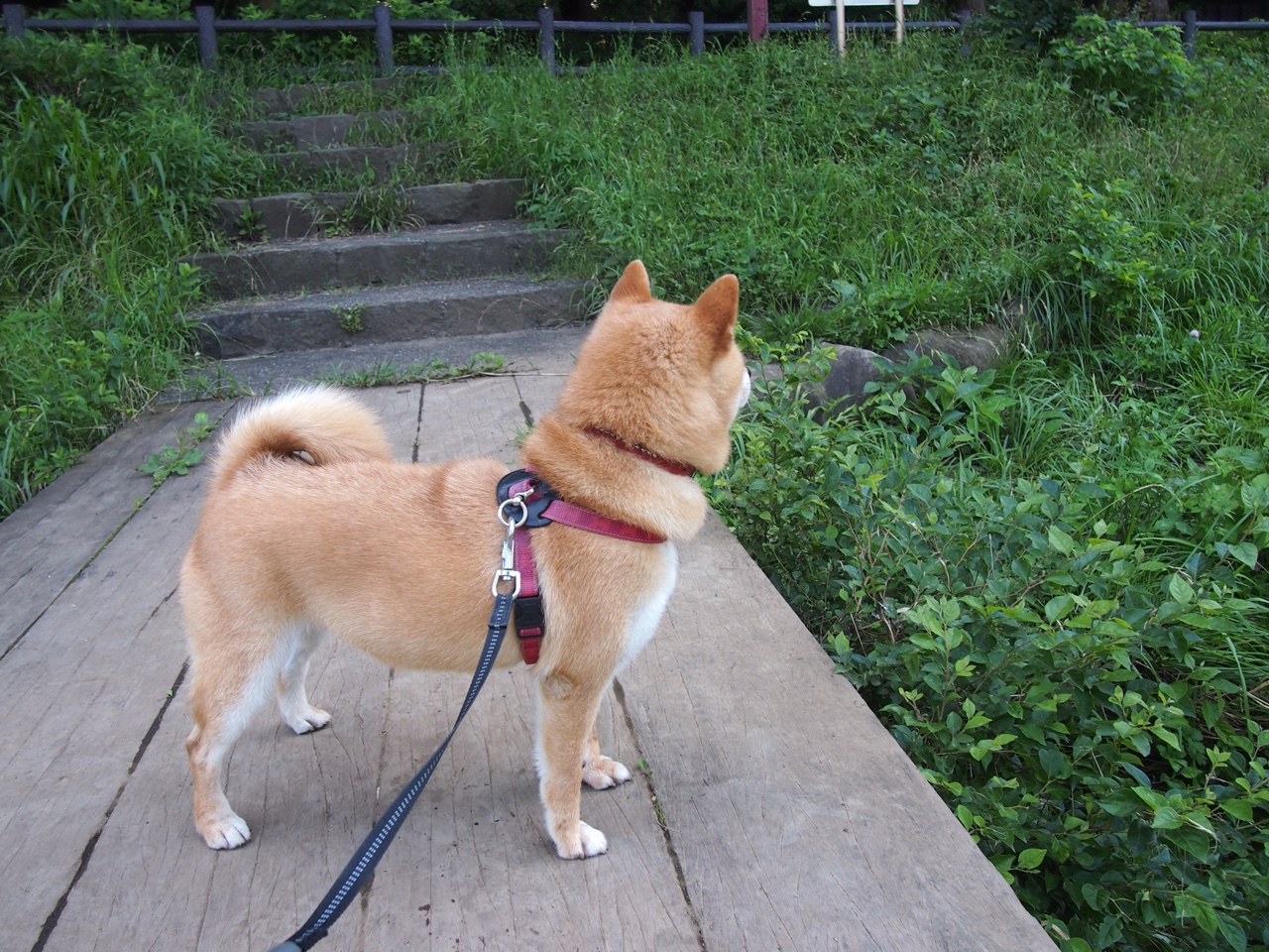 kaiyun体育app-哥伦比亚队中场贝尔特拉在巴黎奥运会上展现出强大的进攻组织能力