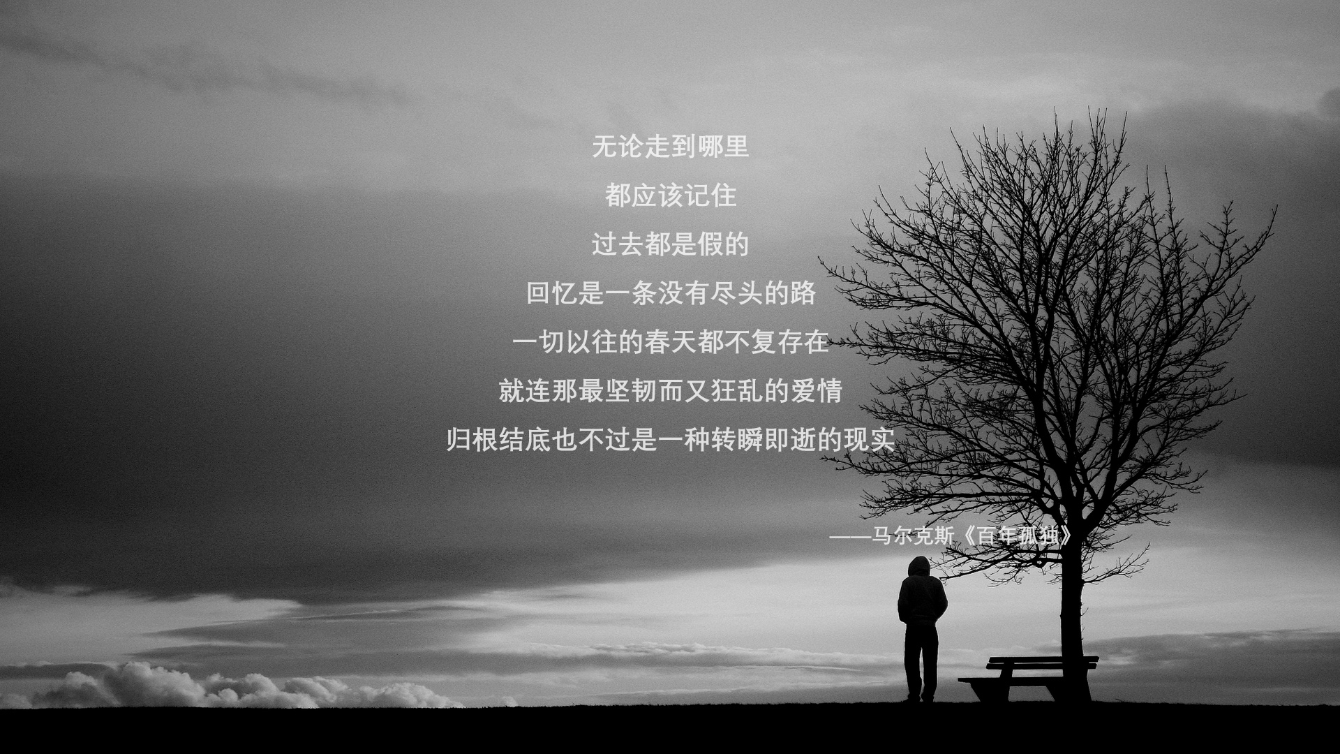 中国足球职业联赛比赛视频技术保障水平提升,中国足球职业联赛正式开始