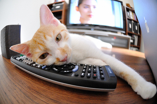 火箭主力阵容明确以速度为战术核心,火箭的阵容名单